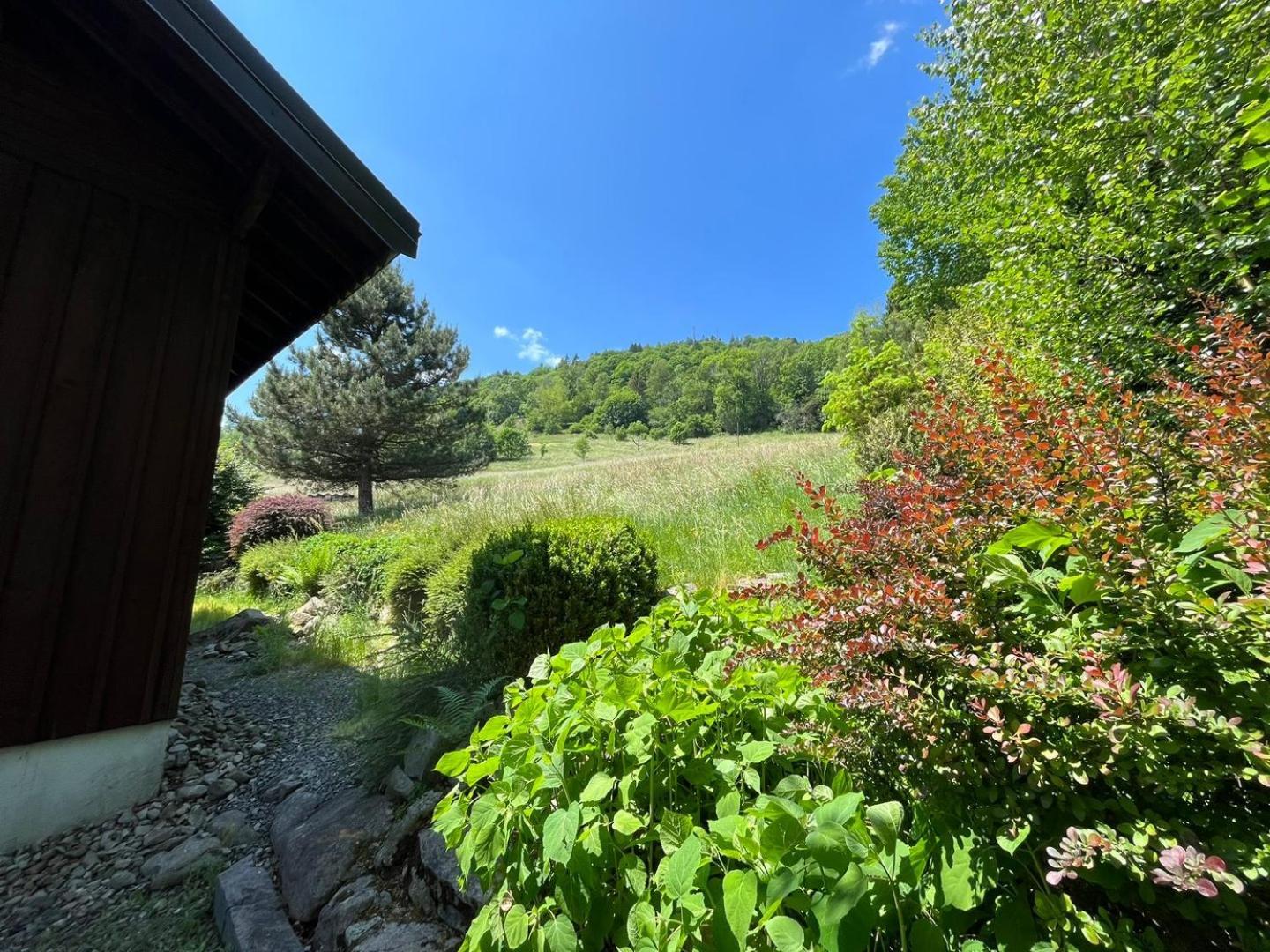Chalet Bois Vue Panoramique : 2 Logements Et Sauna บูสซอง ภายนอก รูปภาพ