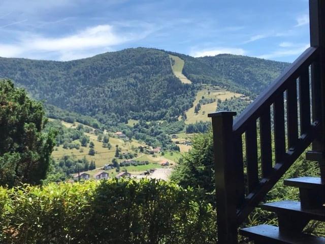 Chalet Bois Vue Panoramique : 2 Logements Et Sauna บูสซอง ภายนอก รูปภาพ
